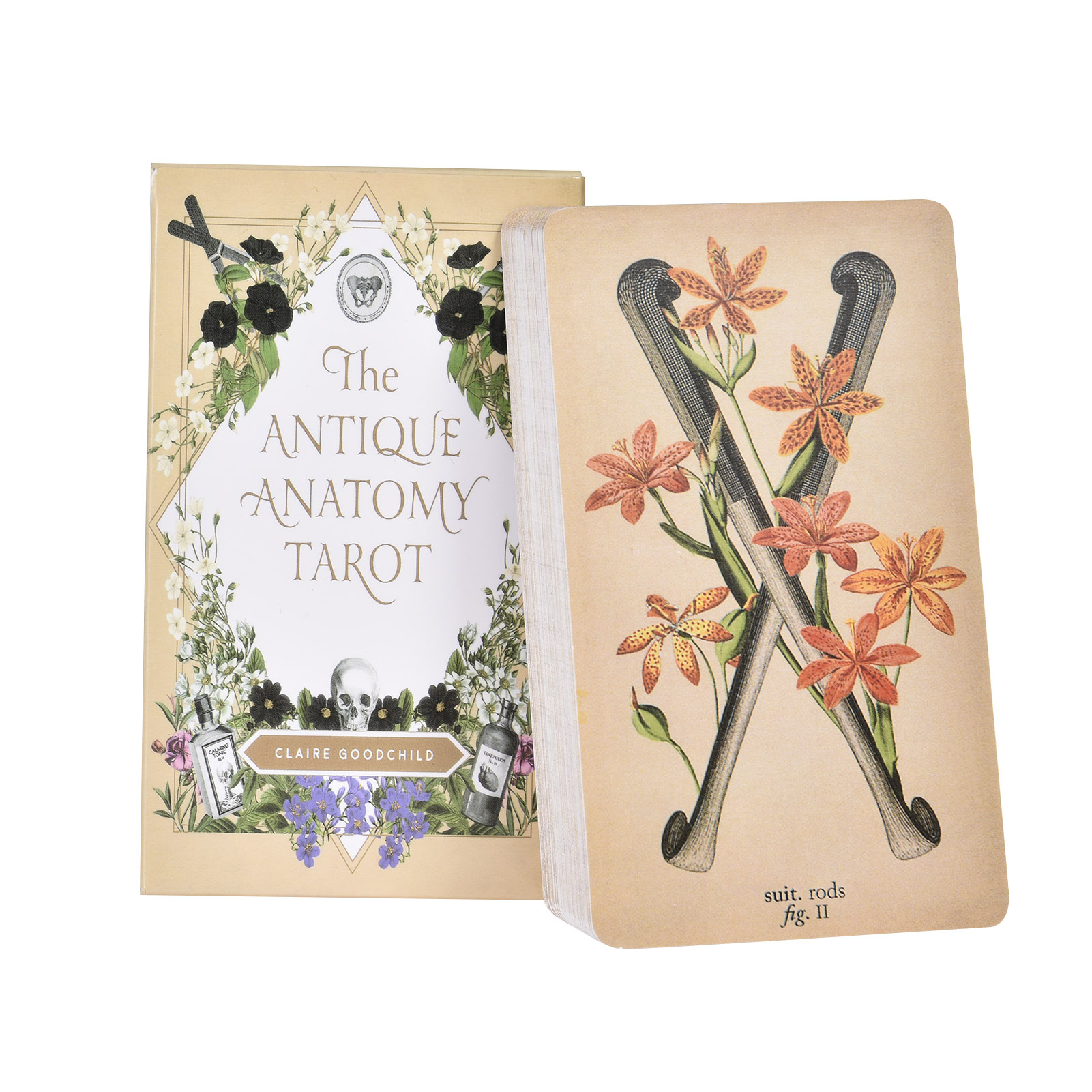 The Antique Anatomy Tarot Card - Tarot Cards Deck With Guidebook recension och pris